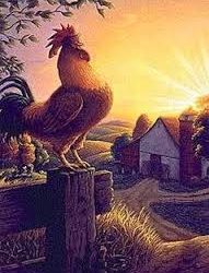 Servicio Madrugadores 2015-16 y Ludotardes septiembre 2015