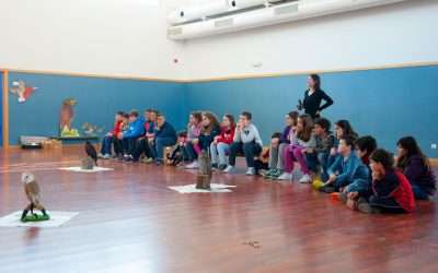 TALLER DE ILUSTRACIÓN CON ANIMALES VIVOS