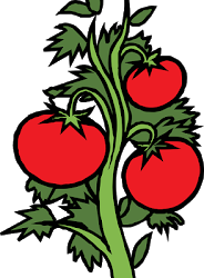 Actividad de inauguración del huerto del cole: inscripciones