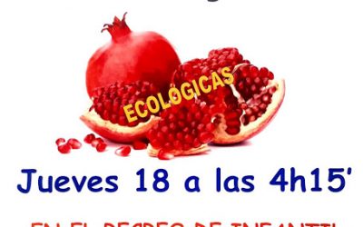 Mercado de granadas en el cole!!