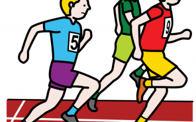 Cross 2019: recorridos y bases