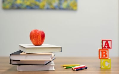 Recogida de los lotes del Banco de Libros