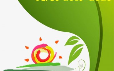 EXTRAESCOLARES SEI PARA ESTE CURSO